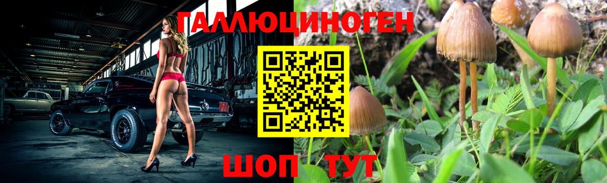 Калач-на-Дону  Псилоцибиновые грибы GOLDEN TEACHER  Вход с VPN 